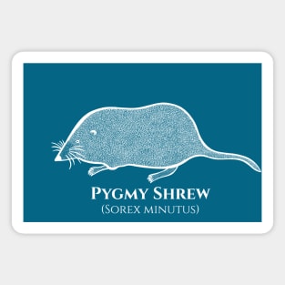 Pygmy Shrew with Common and Scientific Names - cute rodent Magnet